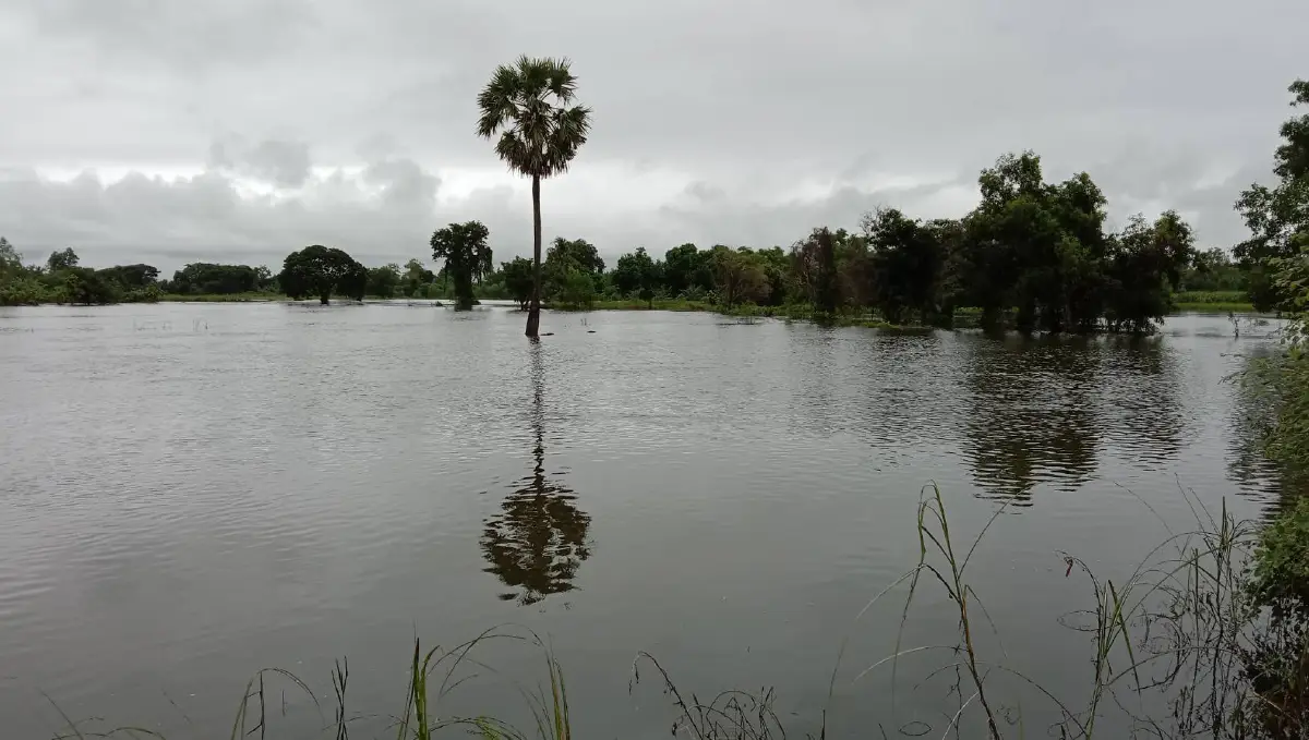 ชักธงแดง"พิมาย"ใกล้วิกฤตมวลน้ำใกล้เคียงมหาอุทกภัยปี 2553