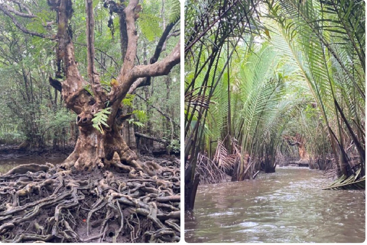 ททท.ปลุกท่องเที่ยวตราดเชิญทูตต่างชาติเพิ่มมูลค่าสินค้าบริการชุมชน
