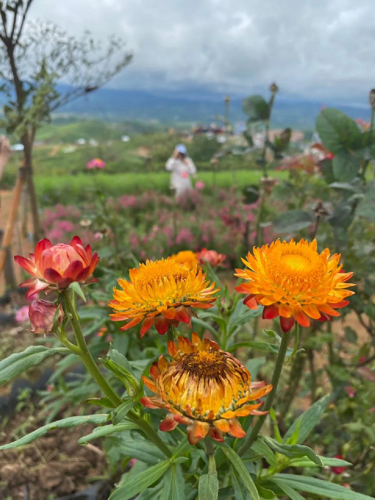 อบอุ่นกลางขุนเขา เคล้าลมหนาวทะเลหมอก @แกรนด์ กกกอด