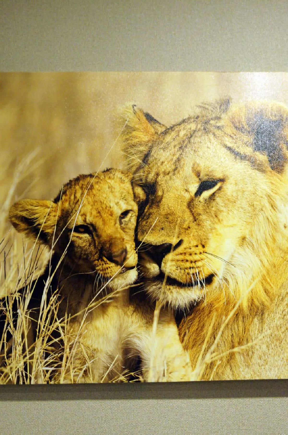 อบอุ่นกลางขุนเขา เคล้าลมหนาวทะเลหมอก @แกรนด์ กกกอด