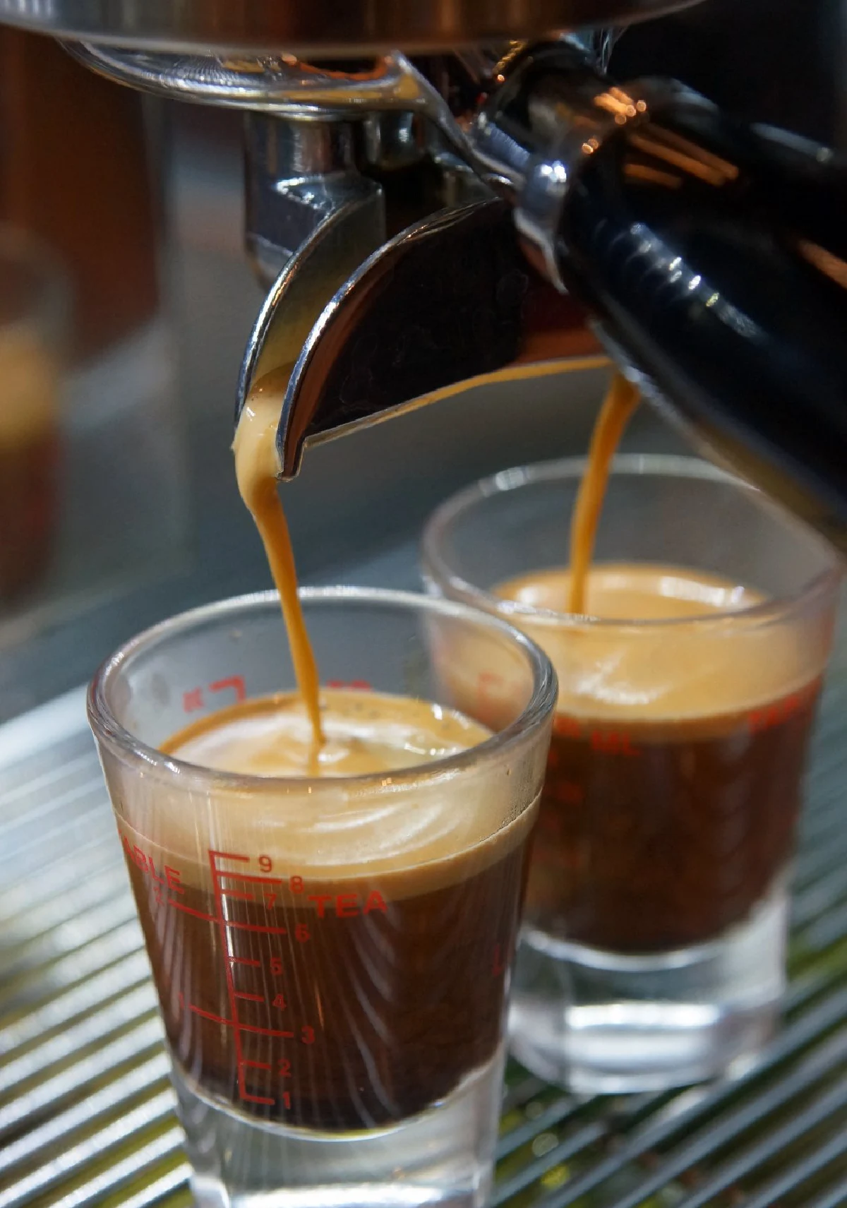 อบอุ่นกลางขุนเขา เคล้าลมหนาวทะเลหมอก @แกรนด์ กกกอด