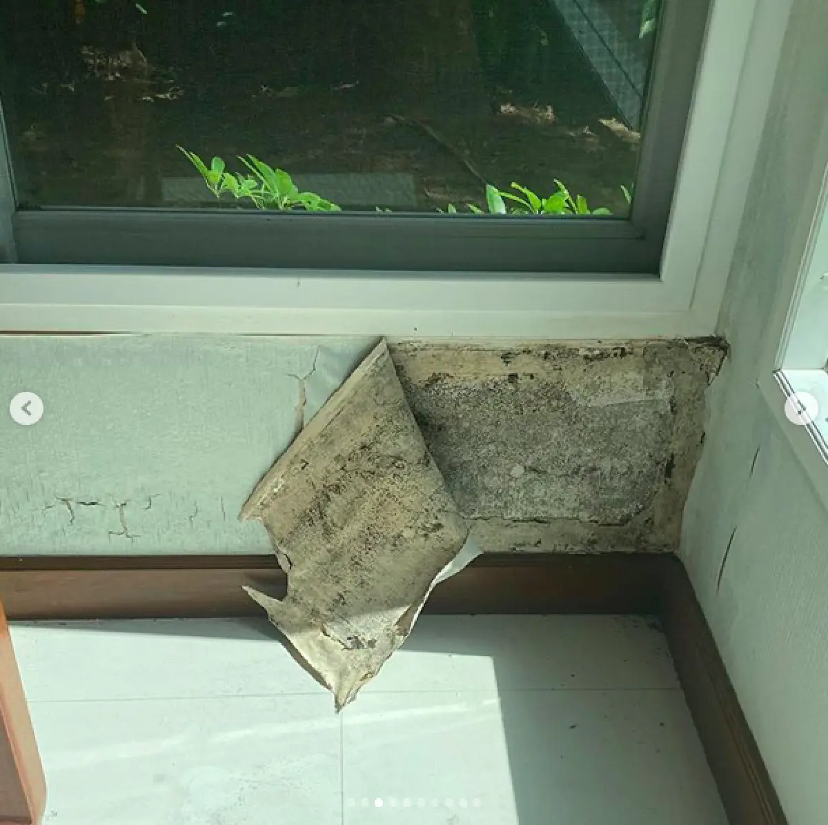 “พลอย ชิดจันทร์” ถึงกับงง! โดนฟ้อง 50 ล้าน เหตุเล่าปัญหาที่เจอหลังซื้อบ้าน 20 ล้าน