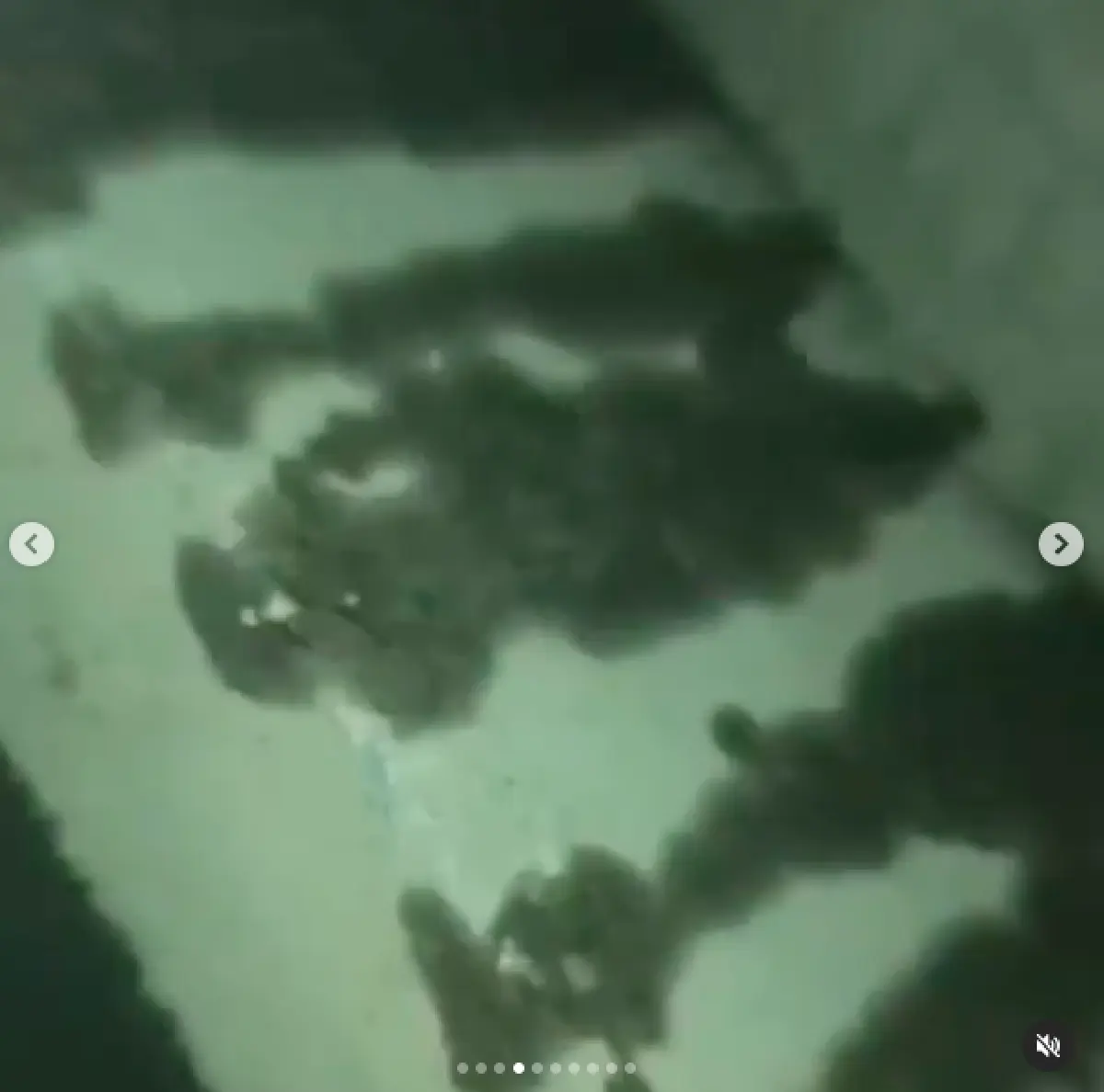 “พลอย ชิดจันทร์” ถึงกับงง! โดนฟ้อง 50 ล้าน เหตุเล่าปัญหาที่เจอหลังซื้อบ้าน 20 ล้าน