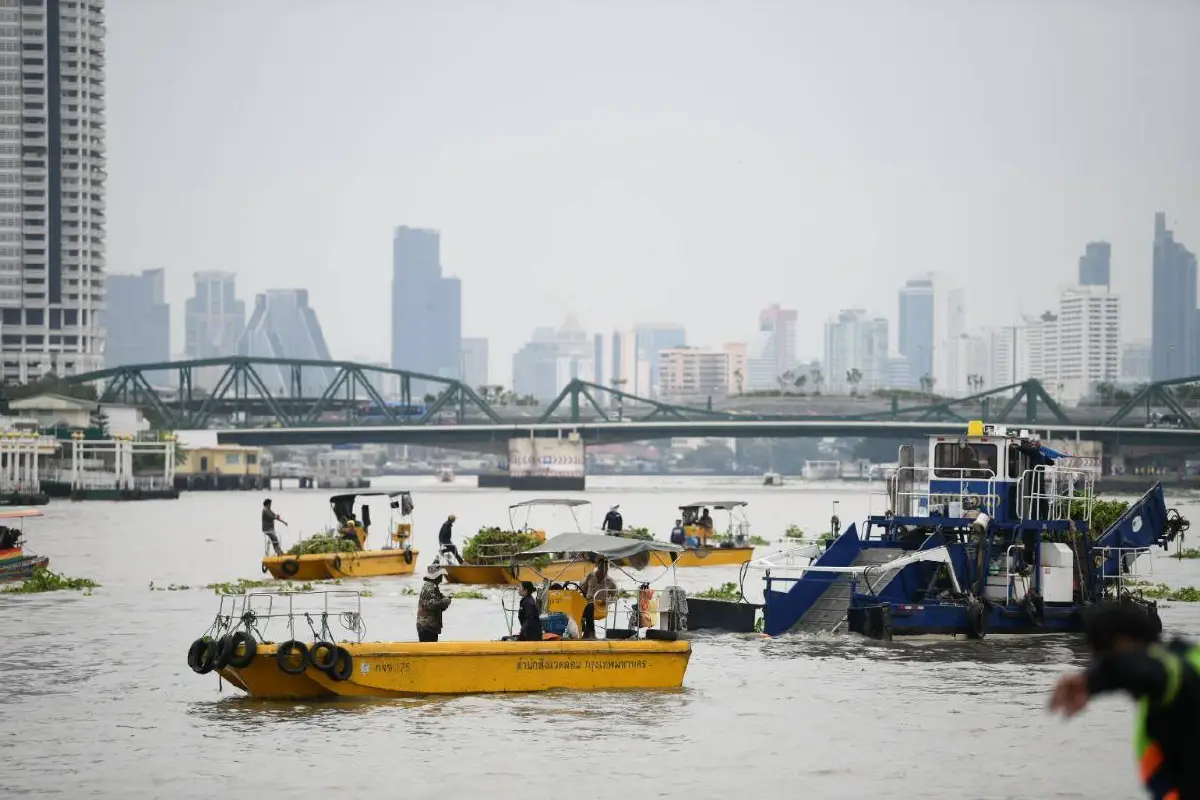 กทม.เตรียมพัฒนาเส้นทางเดินเรือท่องเที่ยวเชิงอนุรักษ์-ศึกษาธรรมชาติ