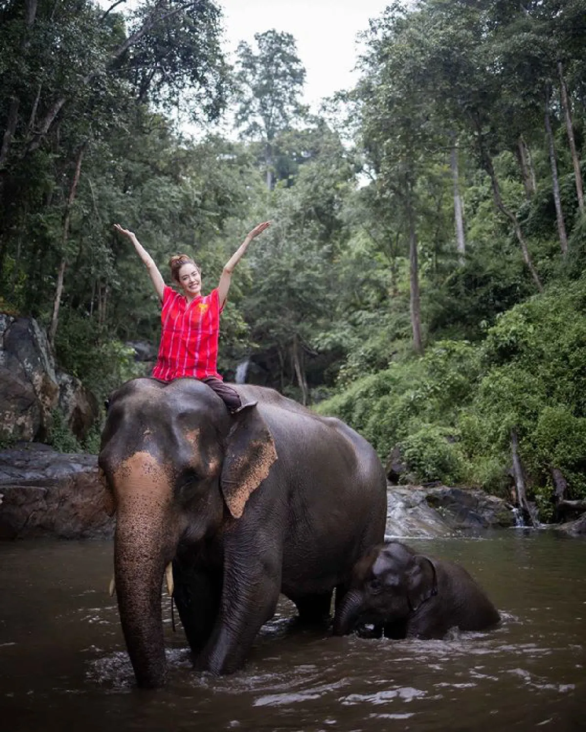 "เกรซ กาญจน์เกล้า" นุ่งเกาะอกอาบน้ำให้ช้าง สดใสปนเซ็กซี่เบาๆ 