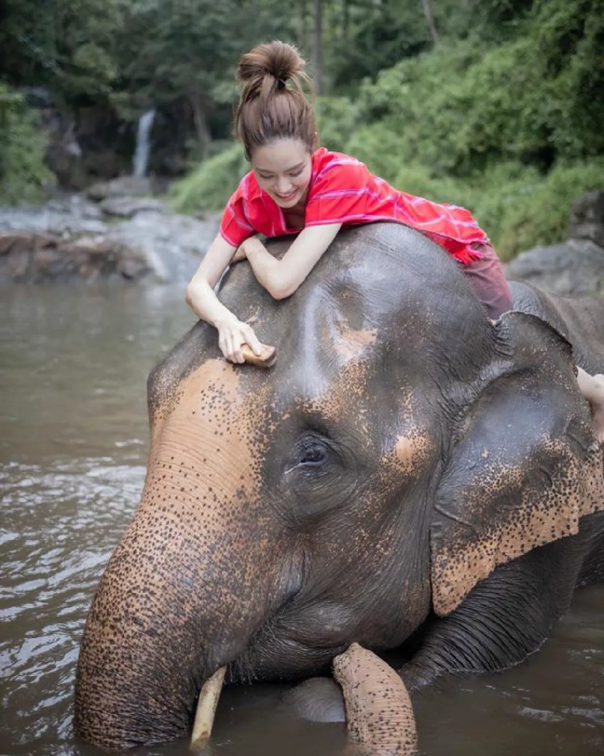 "เกรซ กาญจน์เกล้า" นุ่งเกาะอกอาบน้ำให้ช้าง สดใสปนเซ็กซี่เบาๆ 