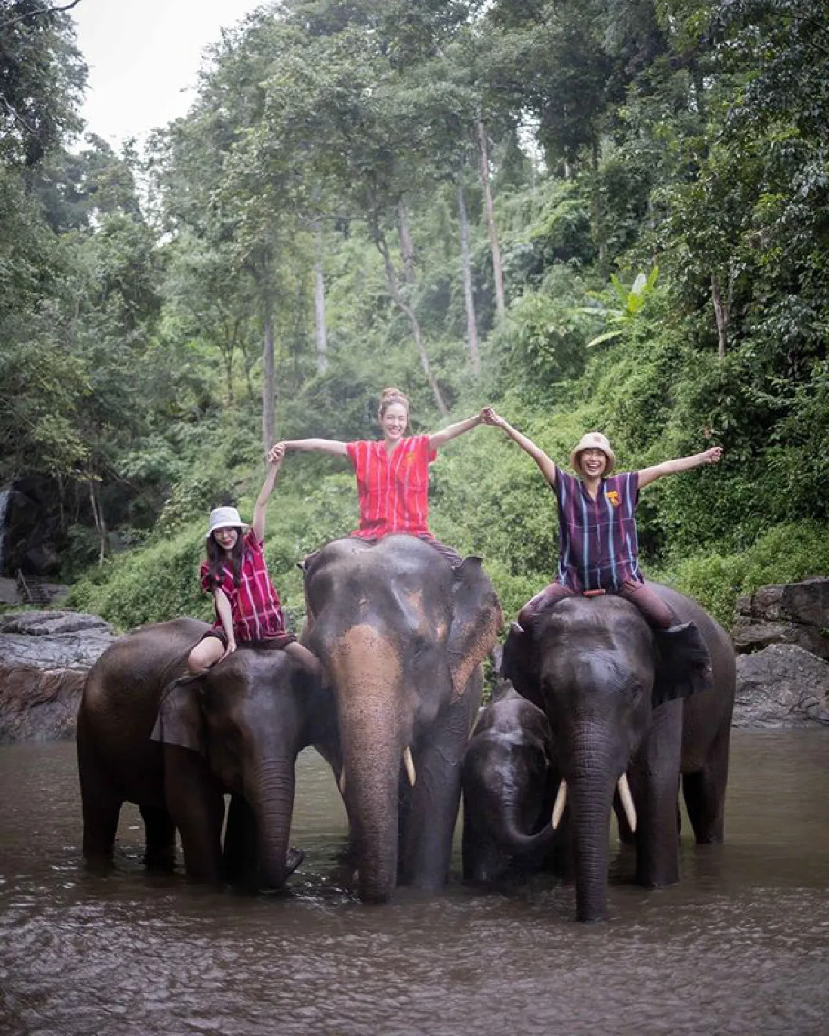 "เกรซ กาญจน์เกล้า" นุ่งเกาะอกอาบน้ำให้ช้าง สดใสปนเซ็กซี่เบาๆ 