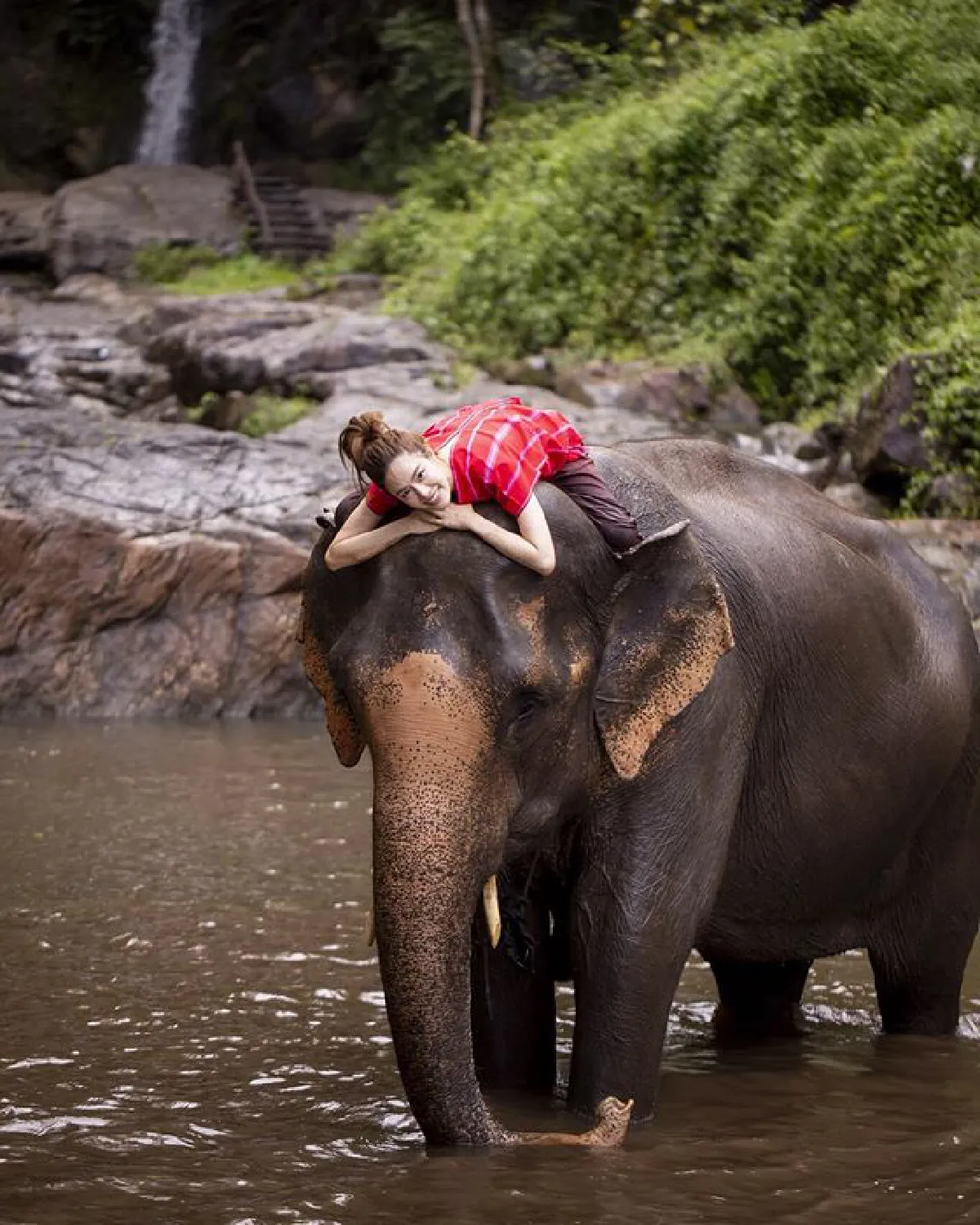 "เกรซ กาญจน์เกล้า" นุ่งเกาะอกอาบน้ำให้ช้าง สดใสปนเซ็กซี่เบาๆ 