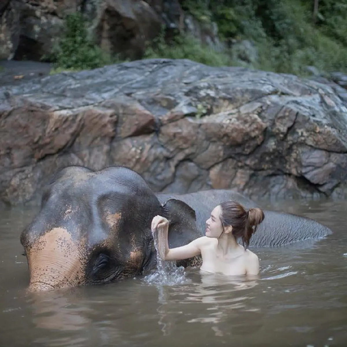 "เกรซ กาญจน์เกล้า" นุ่งเกาะอกอาบน้ำให้ช้าง สดใสปนเซ็กซี่เบาๆ 