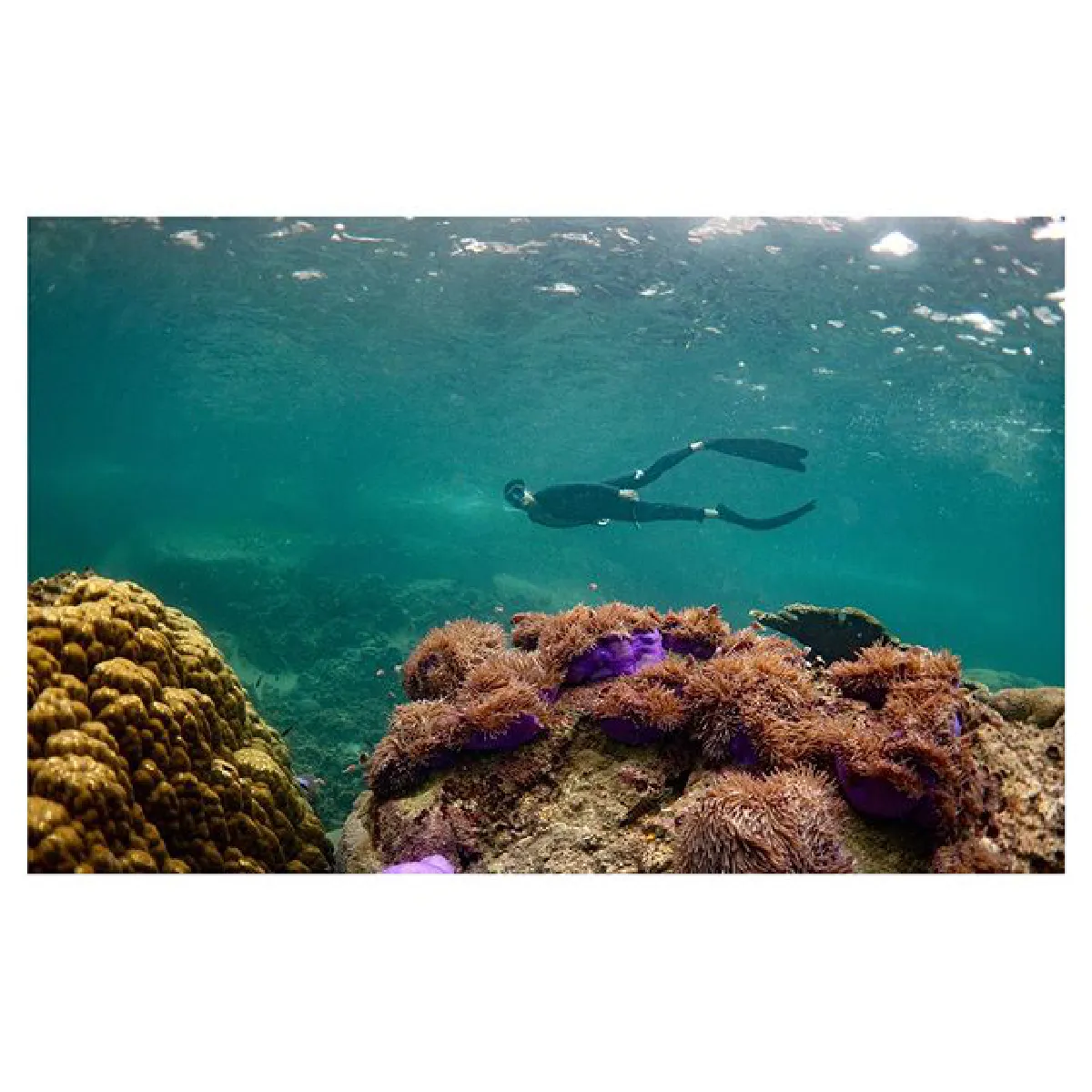 นางแบบผมสวย! เวียร์ อวดภาพแฟนสาว เบลล่า เซ็ตล่าสุดจากทริปเกาะเต่า