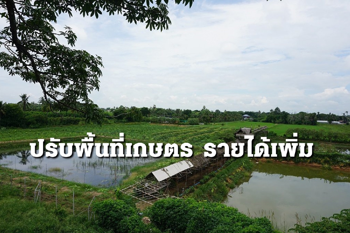 สศก. โชว์ผล Zoning by Agri-Map เคลมเพิ่มรายได้จริงเกษตรกร สศก. โชว์ผล Zoning by Agri-Map เคลมเพิ่มรายได้จริงเกษตรกร