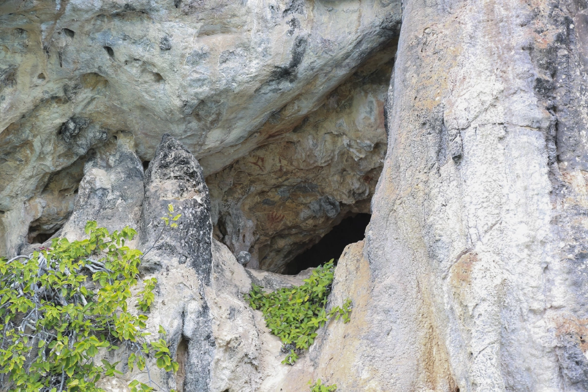 พบภาพเขียนสียุคก่อนประวัติศาสตร์บริเวณอ่าวพังงาอายุ5,000ปี