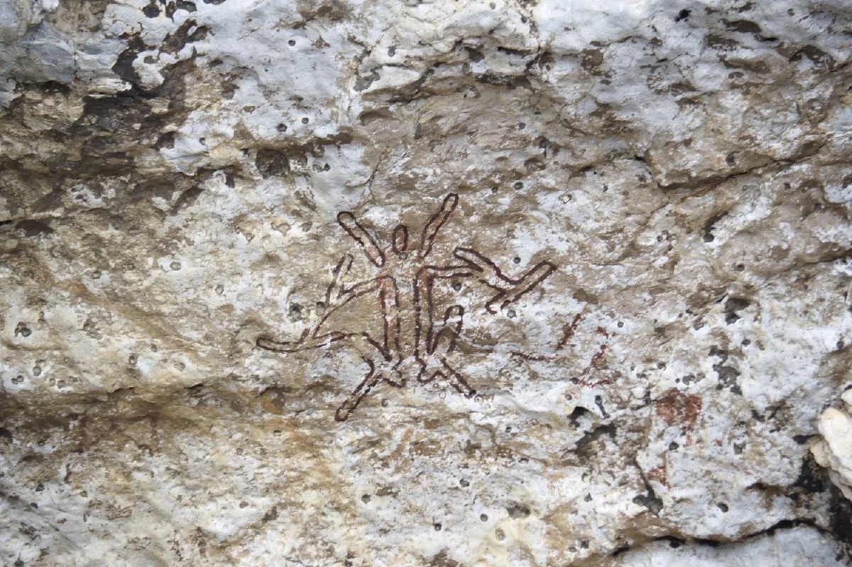 พบภาพเขียนสียุคก่อนประวัติศาสตร์บริเวณอ่าวพังงาอายุ5,000ปี