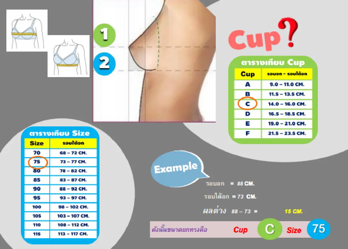 How To เลือกชุดชั้นในให้เป๊ะปังง่ายๆ  เตรียมช้อปออนไลน์ด้วยปลายนิ้ว