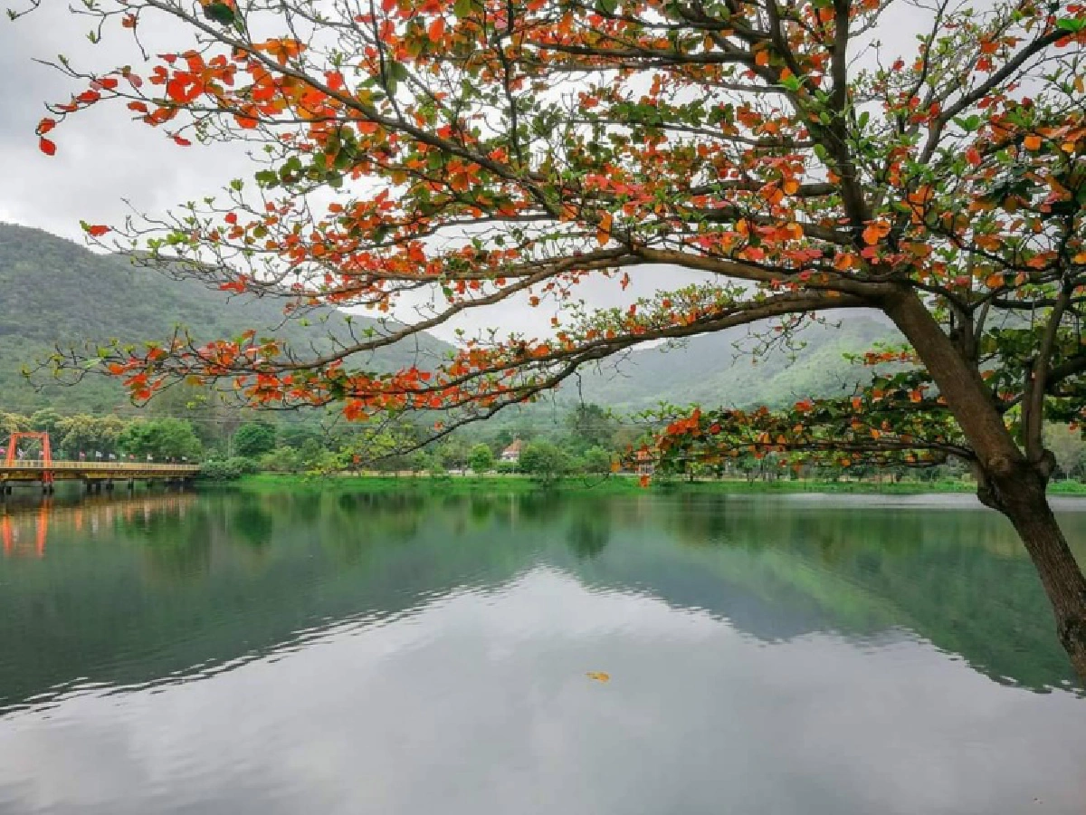 กฟผ. เฉียบ!! ชวนเที่ยว 8 เขื่อน รับแพ็กเกจทำงานเที่ยวได้ ร่วมใจช่วยชาติ