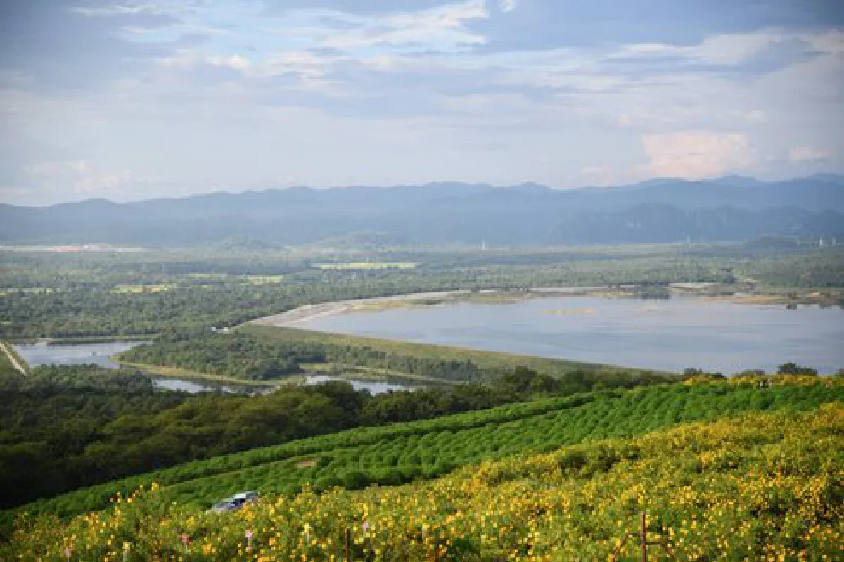 เปิดแล้ว!!! ท่องเที่ยวแม่เมาะ เนรมิตทุ่งดอกบัวตอง ติดไฟ LED นับหมื่นดวง