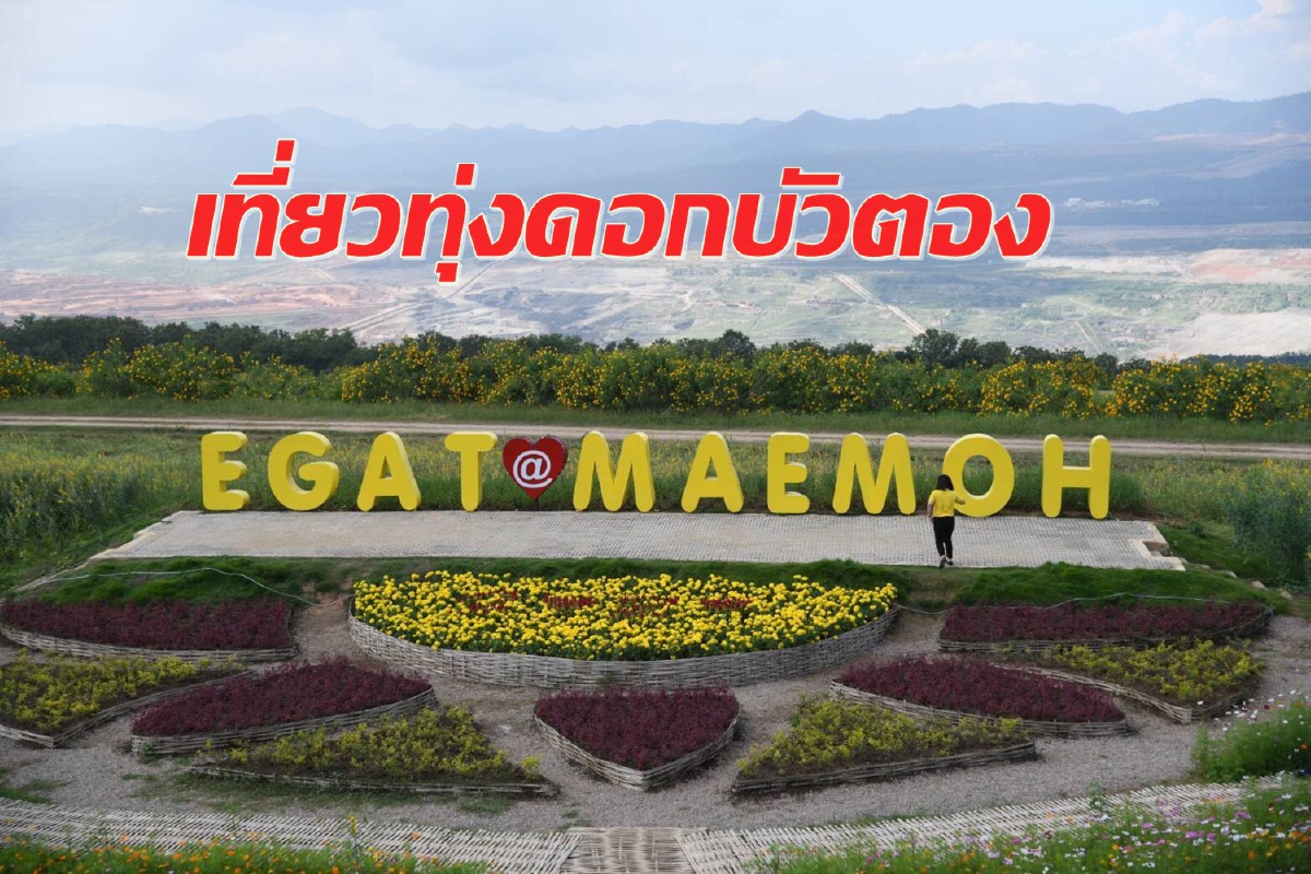 เปิดแล้ว!!! ท่องเที่ยวแม่เมาะ เนรมิตทุ่งดอกบัวตอง ติดไฟ LED นับหมื่นดวง เปิดแล้ว!!! ท่องเที่ยวแม่เมาะ เนรมิตทุ่งดอกบัวตอง ติดไฟ LED นับหมื่นดวง