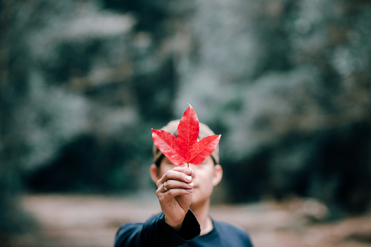 4 แหล่งท่องเที่ยวที่ต้องไปหนาวนี้