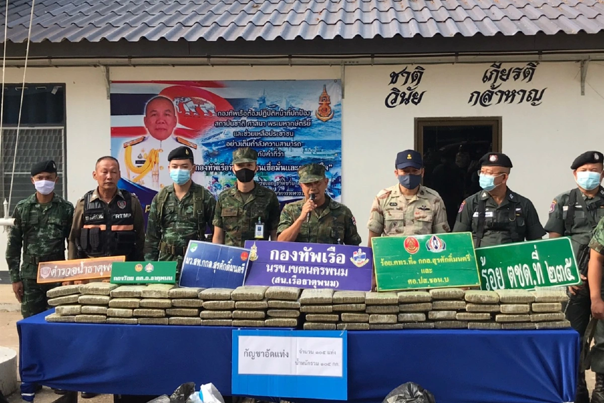 กัญชาอยู่ในช่วงฤดูเก็บเกี่ยว เดือนเดียว นรข.นครพนมยึดได้กว่า2ตัน