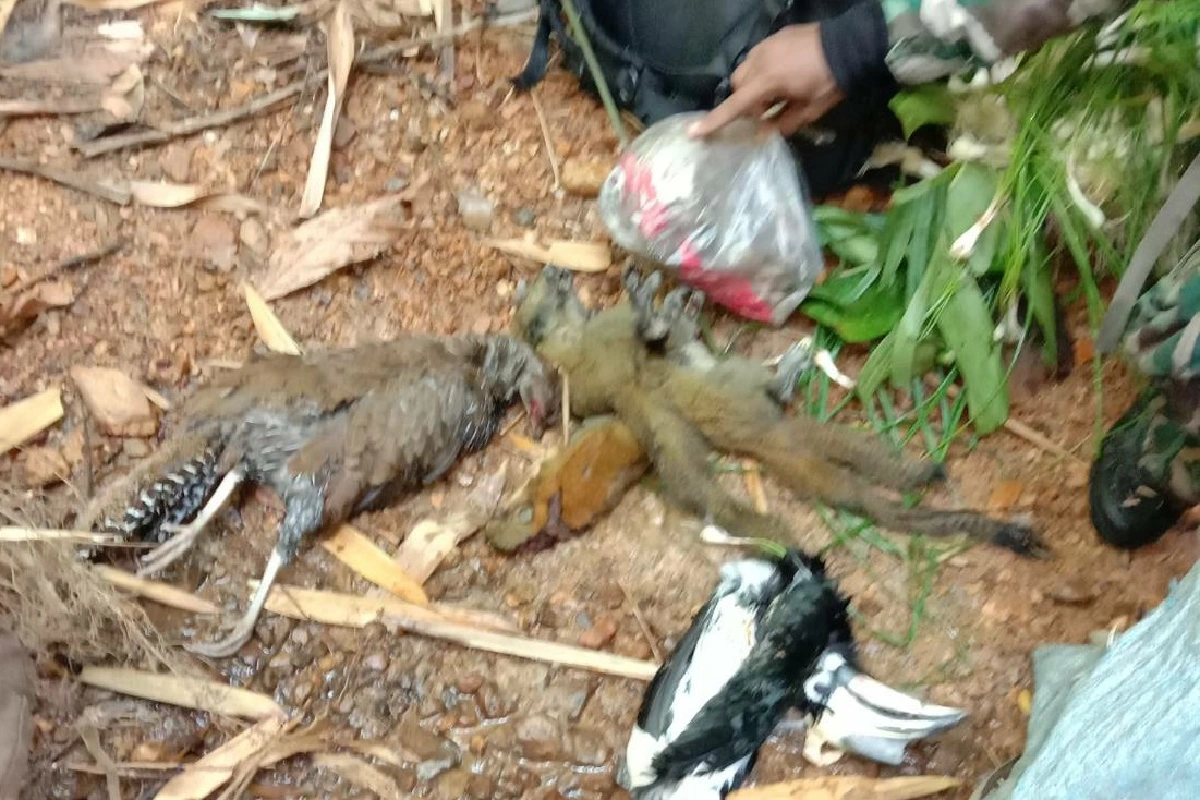 อช.ทองผาภูมิตะครุบหนุ่มกะเหรี่ยงพร้อมซากสัตว์ป่า