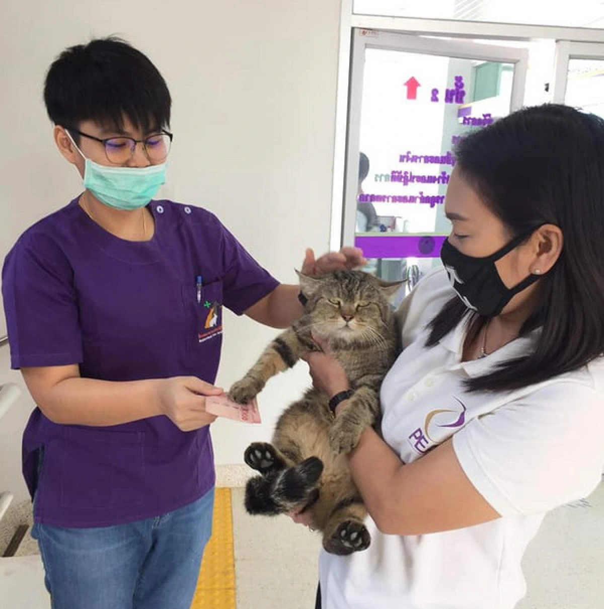 ฮือฮา! การไฟฟ้าทุ่งเสลี่ยมแต่งตั้งแมว“พี่คุ้ง”เป็นผู้ช่วยรปภ.แฟนคลับตรึม