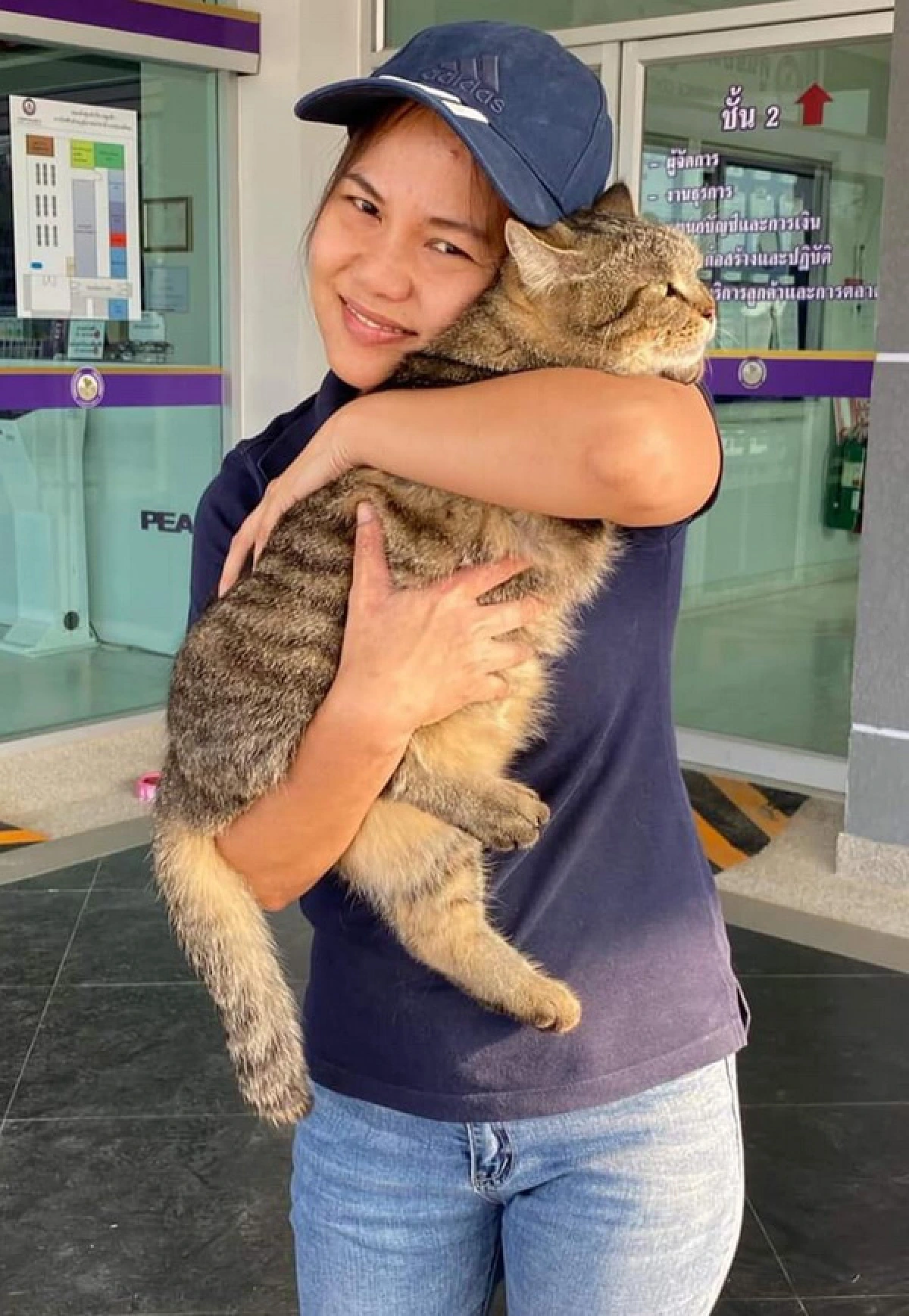 ฮือฮา! การไฟฟ้าทุ่งเสลี่ยมแต่งตั้งแมว“พี่คุ้ง”เป็นผู้ช่วยรปภ.แฟนคลับตรึม