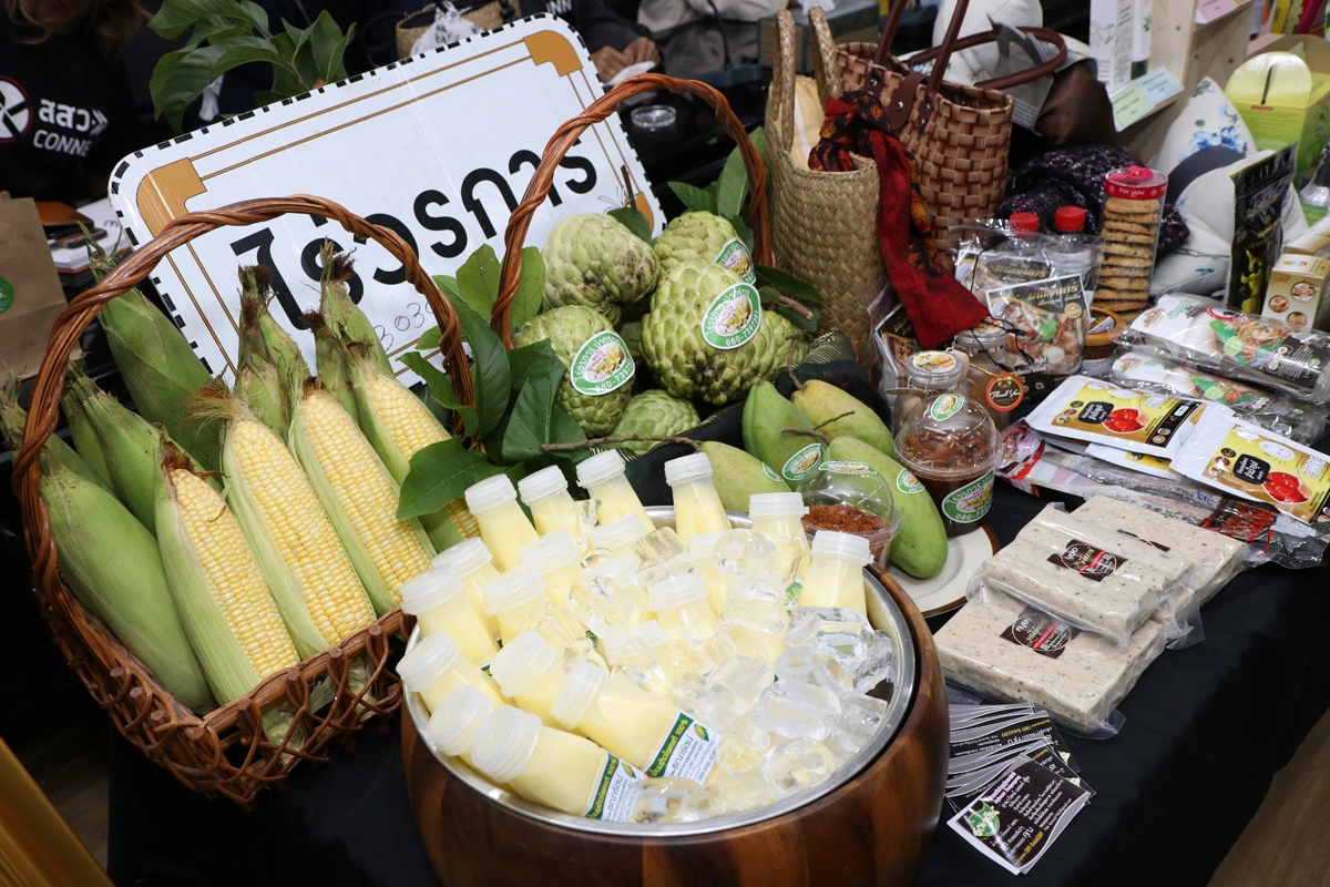 จัดใหญ่!“สสว.CONNEXT : SME Festival”เริ่มสัญจรทั่วประเทศช่วยผู้ประกอบการ