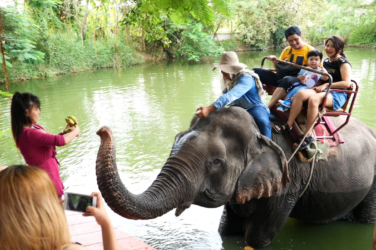 หนีโควิดเปิดธุรกิจใหม่สู้! "ร้านกาแฟมองช้าง"หารายได้เลี้ยงองค์กรให้อยู่รอด