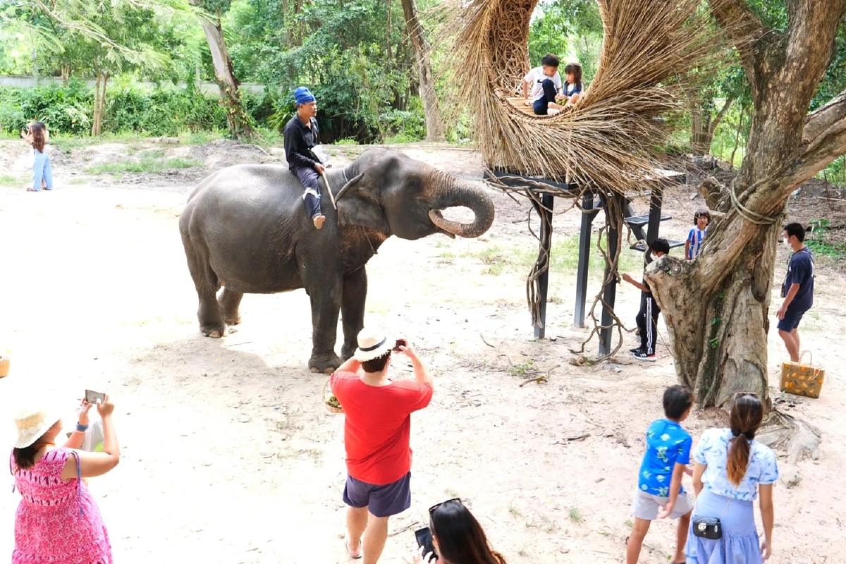 หนีโควิดเปิดธุรกิจใหม่สู้! "ร้านกาแฟมองช้าง"หารายได้เลี้ยงองค์กรให้อยู่รอด