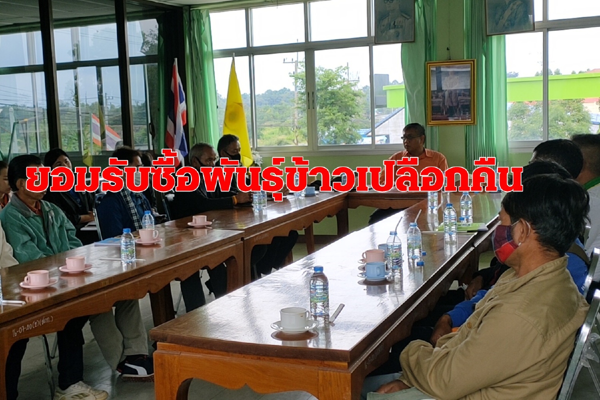 จบด้วยดี เจ้าหน้าที่รัฐไม่ได้หลอกขายพันธุ์ข้าวชาวนา ส.ก.ต.ยอมรับซื้อคืน จบด้วยดี เจ้าหน้าที่รัฐไม่ได้หลอกขายพันธุ์ข้าวชาวนา ส.ก.ต.ยอมรับซื้อคืน