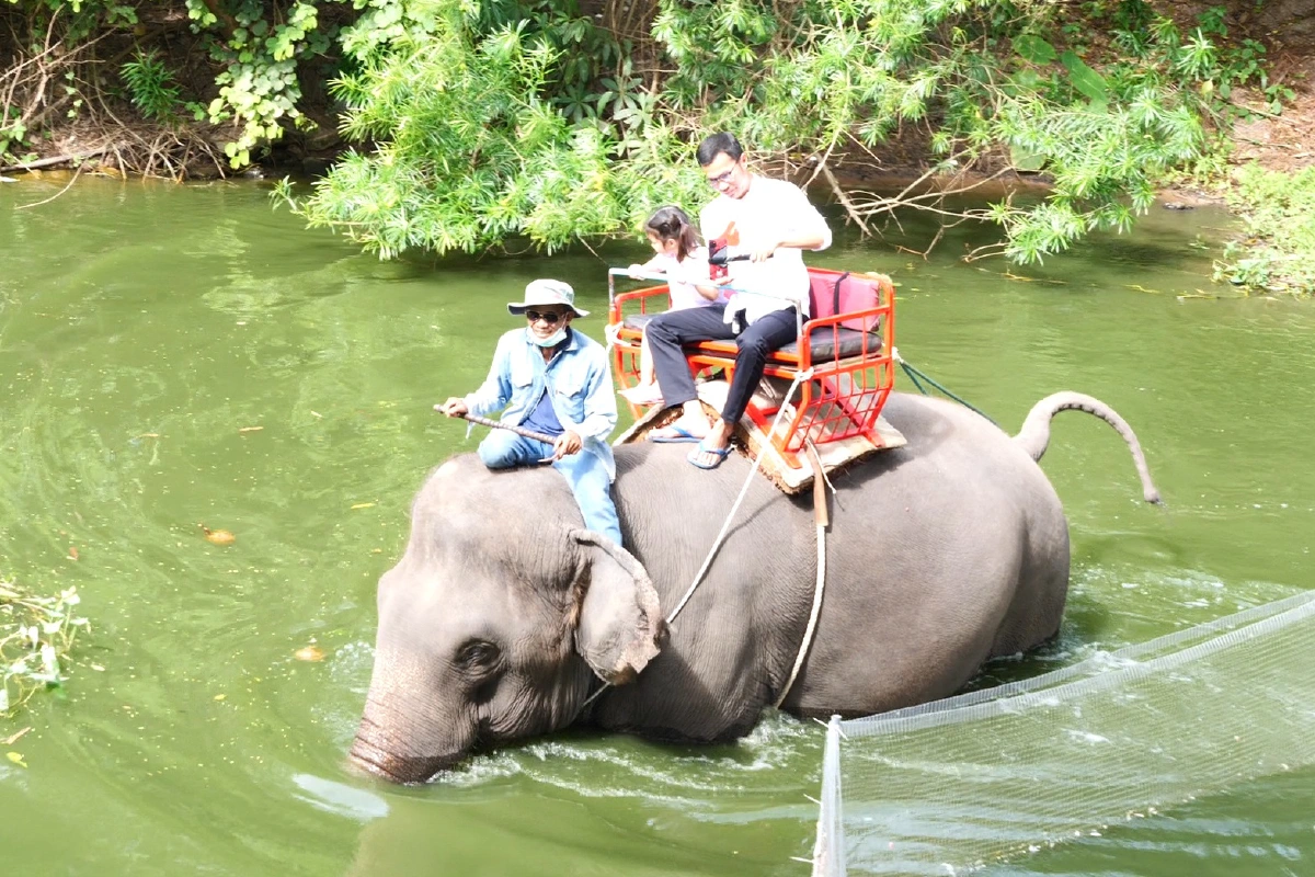 หนีโควิดเปิดธุรกิจใหม่สู้! "ร้านกาแฟมองช้าง"หารายได้เลี้ยงองค์กรให้อยู่รอด