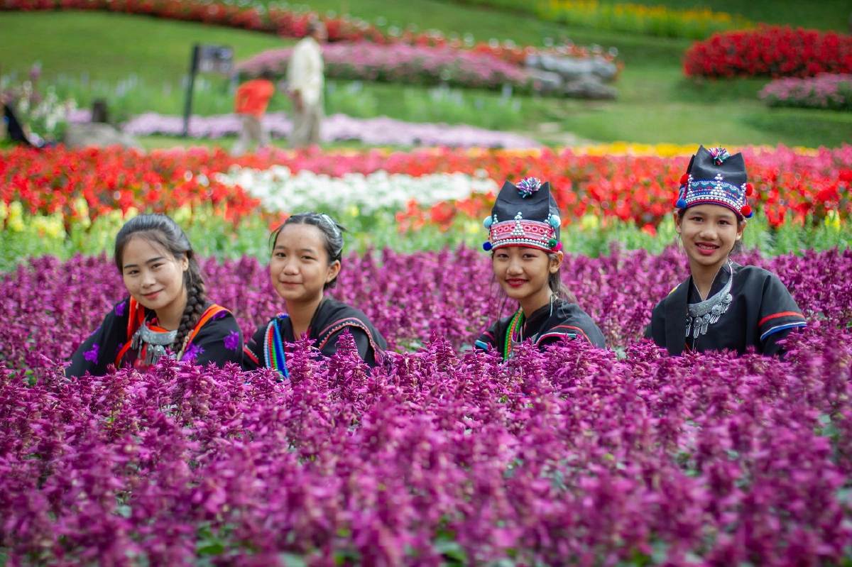 มูลนิธิแม่ฟ้าหลวงฯชวนเที่ยวงานสีสันแห่งดอยตุง ครั้งที่ 7