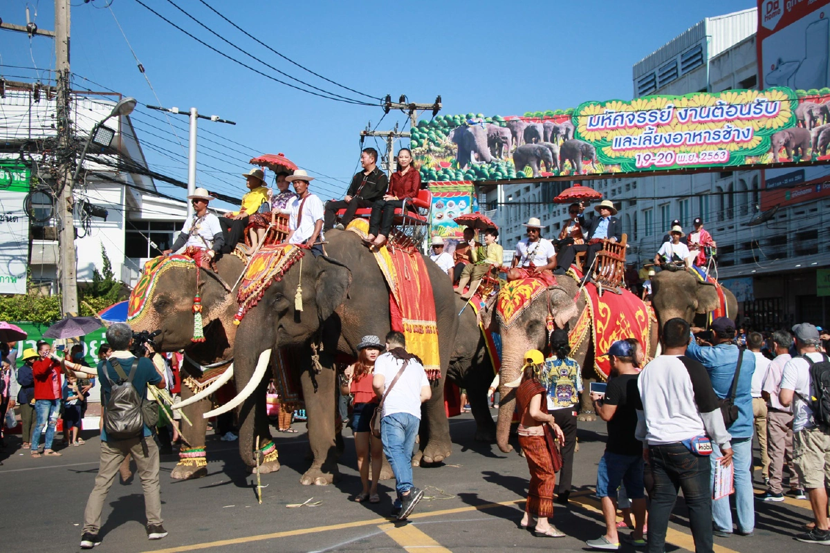 ตื่นตานักท่องเที่ยวงานเลี้ยงอาหารช้างสุรินทร์ปี63