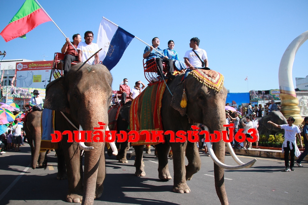 ตื่นตานักท่องเที่ยวงานเลี้ยงอาหารช้างสุรินทร์ปี63 ตื่นตานักท่องเที่ยวงานเลี้ยงอาหารช้างสุรินทร์ปี63
