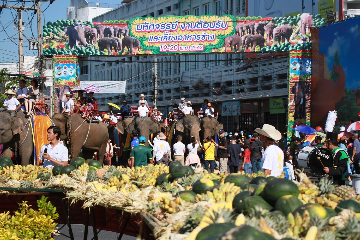 ตื่นตานักท่องเที่ยวงานเลี้ยงอาหารช้างสุรินทร์ปี63