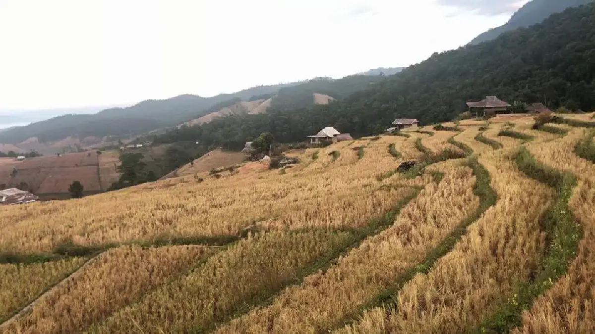 นักท่องเที่ยวทะลักเชียงใหม่คาดเงินสะพัดช่วงวันหยุดกว่า700ล้าน