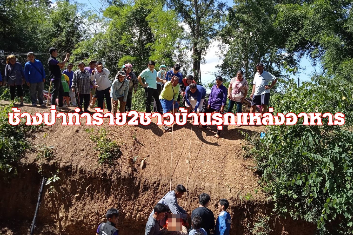ช้างป่าทำร้าย2ชาวบ้านมุดรั้วข้ามคูกั้นรุกแหล่งอาหาร ช้างป่าทำร้าย2ชาวบ้านมุดรั้วข้ามคูกั้นรุกแหล่งอาหาร
