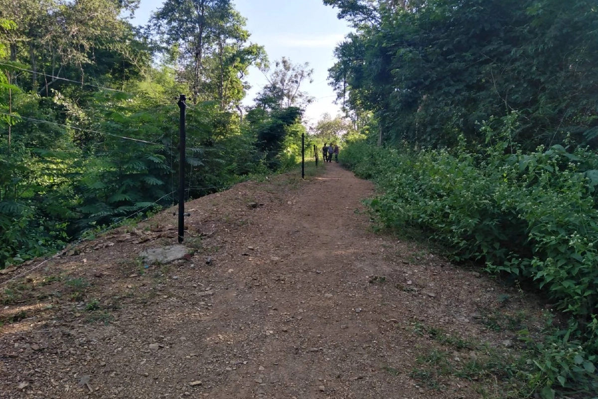 ช้างป่าทำร้าย2ชาวบ้านมุดรั้วข้ามคูกั้นรุกแหล่งอาหาร