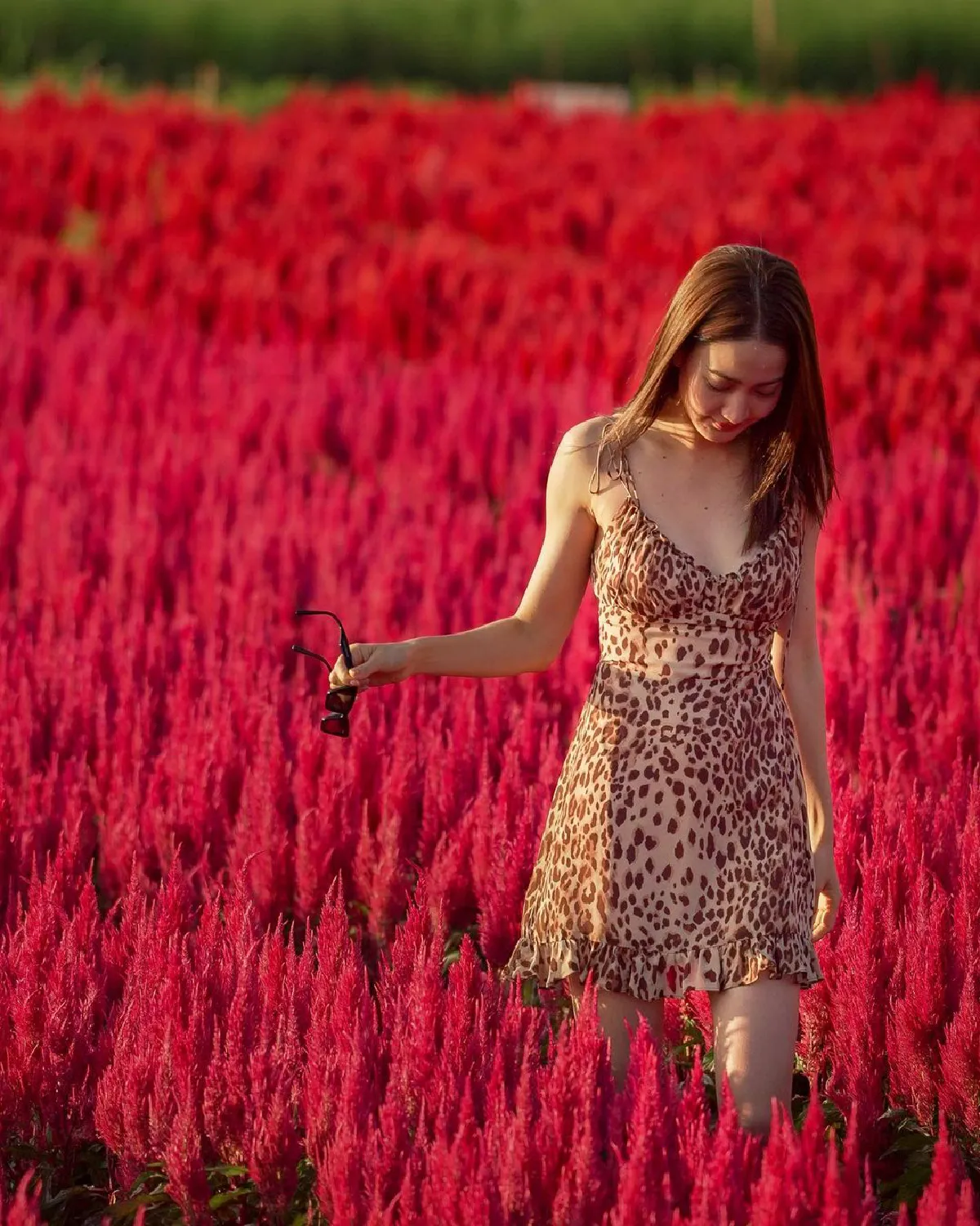 ส่องภาพ แต้ว ณฐพร-ไฮโซณัย จูงมือสวีทกลางทุ่งดอกไม้ที่เชียงใหม่