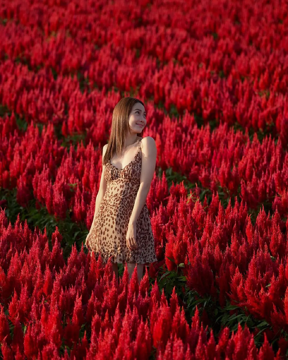 ส่องภาพ แต้ว ณฐพร-ไฮโซณัย จูงมือสวีทกลางทุ่งดอกไม้ที่เชียงใหม่