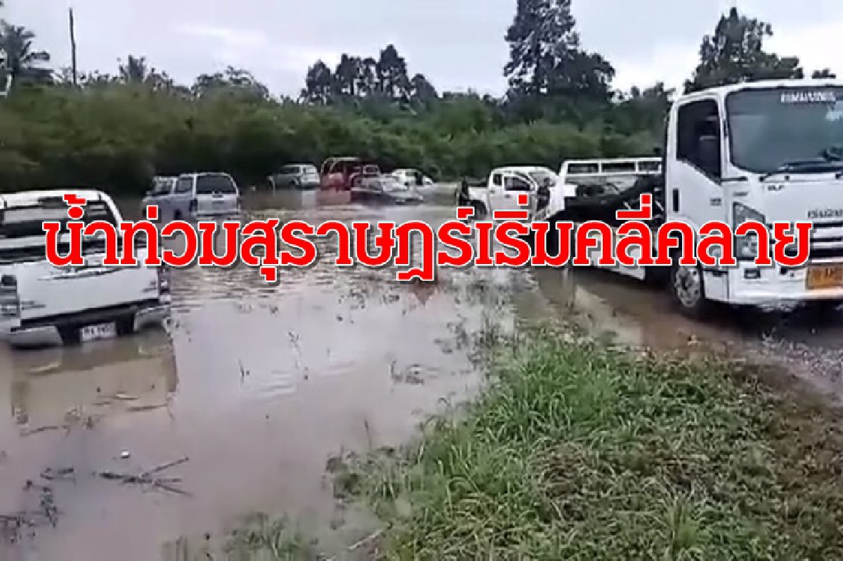 ฝนหยุดตก! น้ำท่วมสุราษฎร์เริ่มคลี่คลาย เฝ้าระวังมวลน้ำจากนครศรีฯ ฝนหยุดตก! น้ำท่วมสุราษฎร์เริ่มคลี่คลาย เฝ้าระวังมวลน้ำจากนครศรีฯ