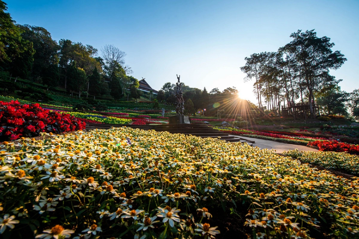 เปิดแล้วงานใหญ่ระดับประเทศ“สีสันแห่งดอยตุง ครั้งที่ 7”