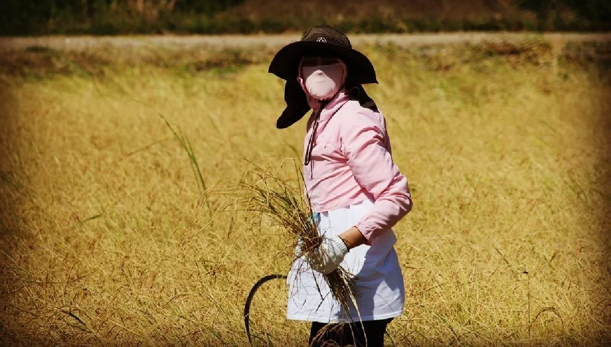 "ตั๊ก-เจ้าสัวบุญชัย" สุดชิล พากันจับเคียวลงนาเกี่ยวข้าว เลี้ยงควายด้วยตัวเอง