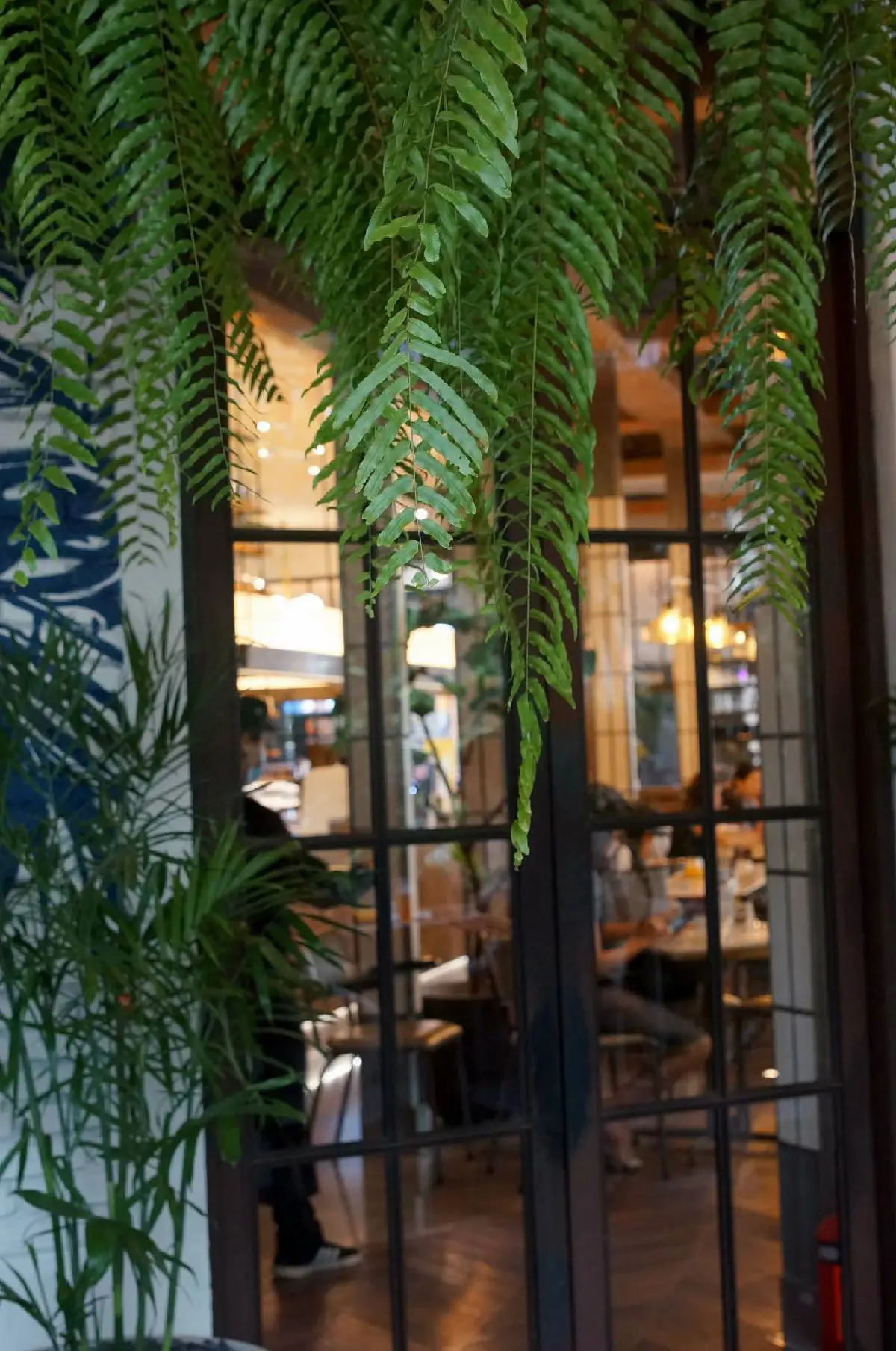 ให้ทุกมื้อมีแต่ความประทับใจ อิ่มเอมความอร่อยไปกับ Patio at Emquartier