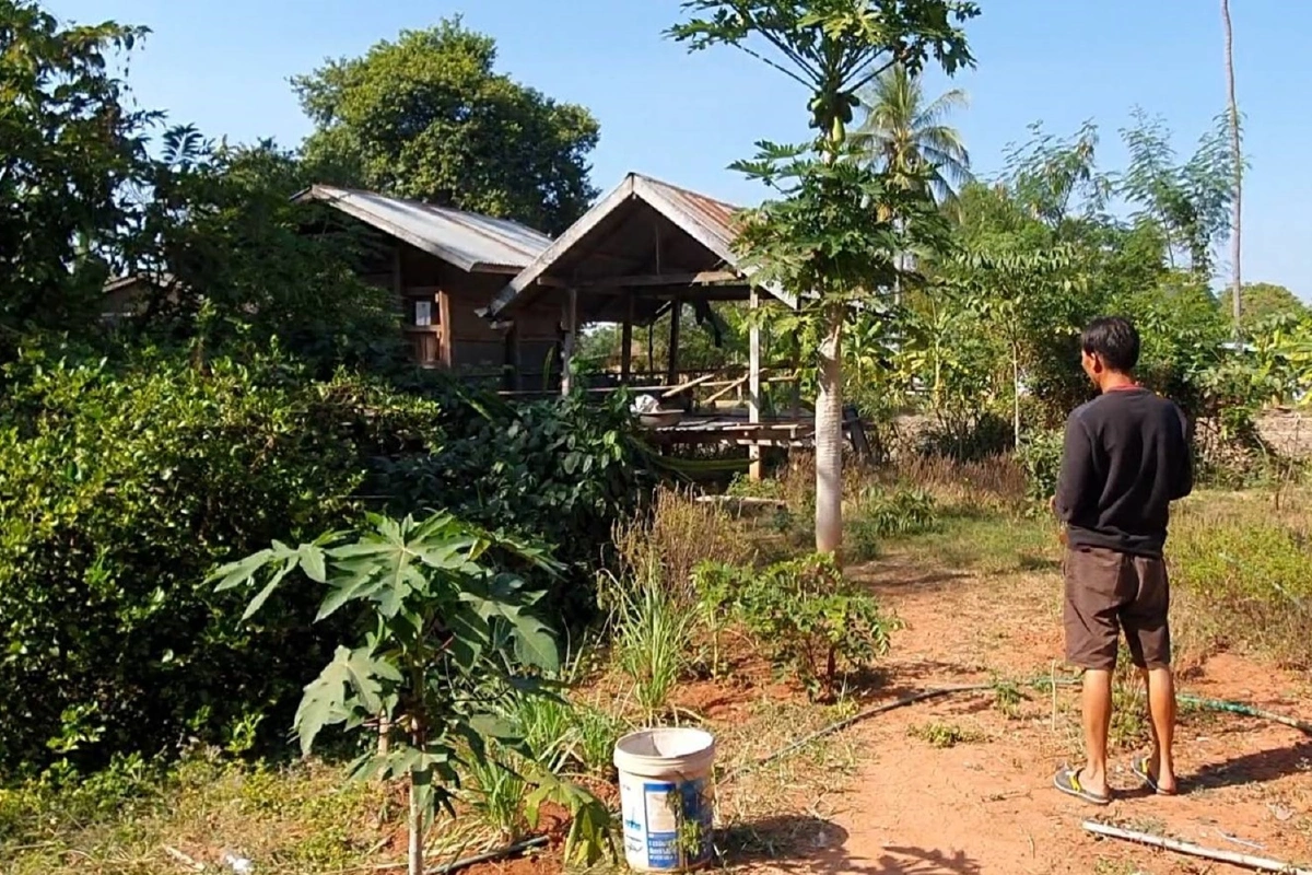 แมวตายเกือบยกหมู่บ้านเจอโรคไวรัสระบาด! 