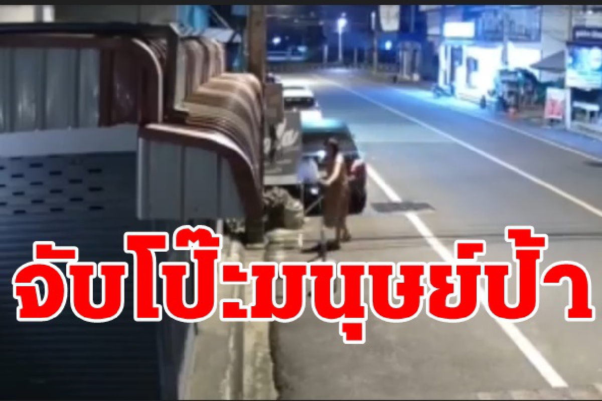 แชร์ว่อนมนุษย์ป้าเก็บขยะทิ้งบ้านคนอื่นนานนับปี แชร์ว่อนมนุษย์ป้าเก็บขยะทิ้งบ้านคนอื่นนานนับปี