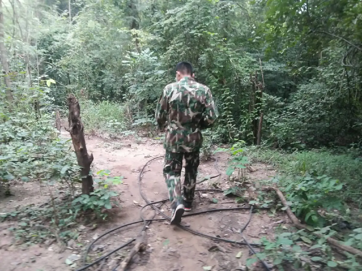 สองแม่ลูกขับเก๋งช้างป่าวิ่งตัดหน้าชนเข้าอย่างจังรถพังยับ