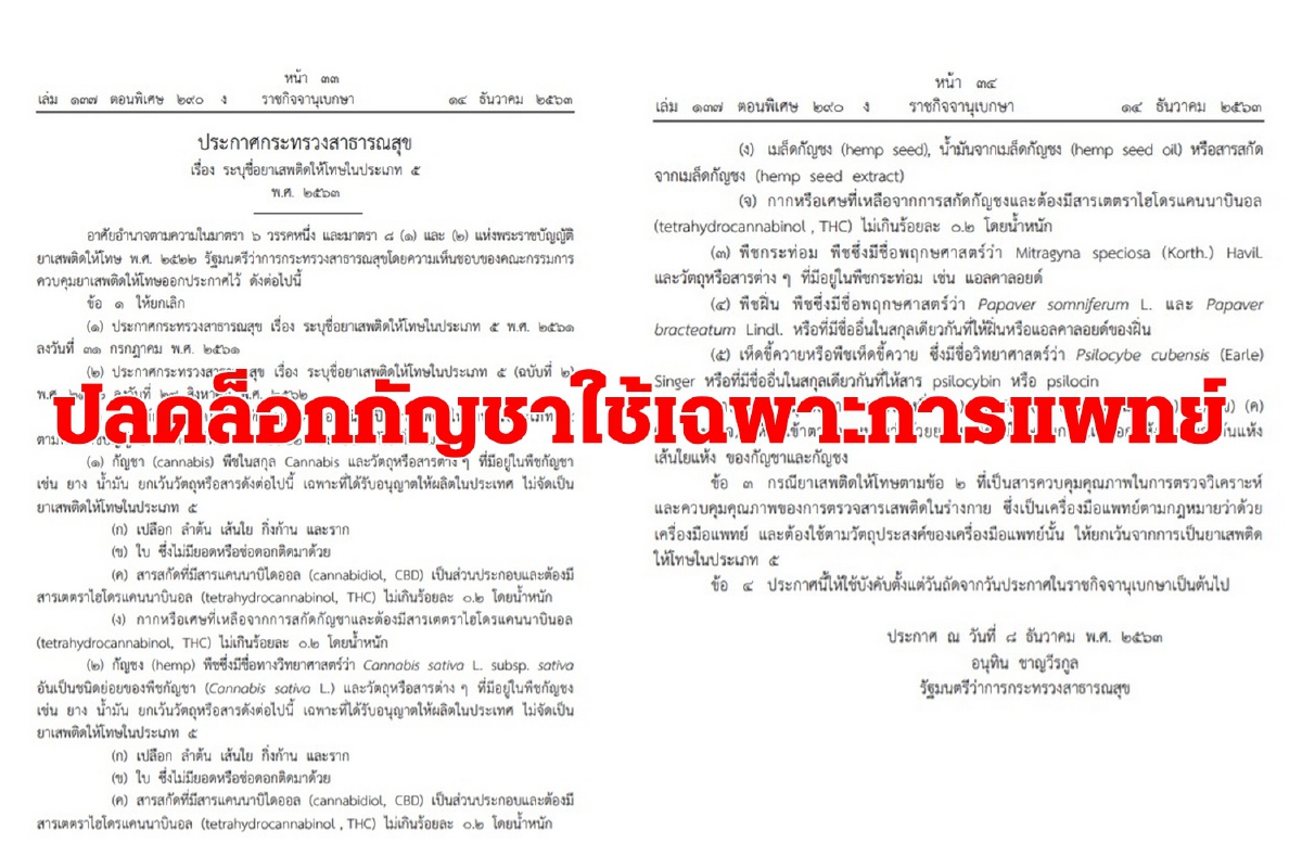ปลดล็อก"กัญชา" พ้นยาเสพติดใช้ได้เฉพาะทางการแพทย์ ปลดล็อก"กัญชา" พ้นยาเสพติดใช้ได้เฉพาะทางการแพทย์