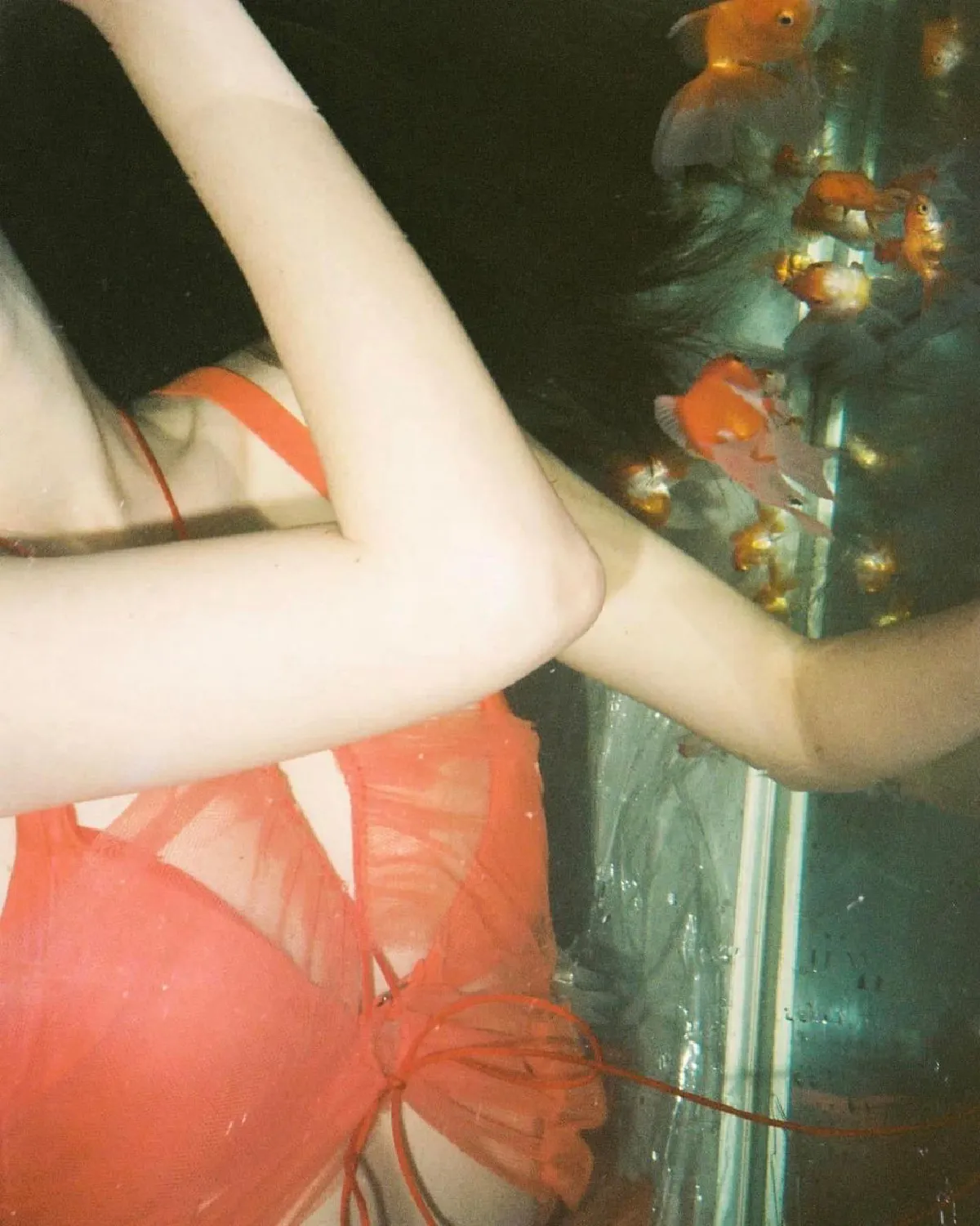 ปลาทองหนีไป!! “ปุ้มปุ้ย พรรณทิพา” กับภาพถ่ายสุดแซ่บนอนแช่น้ำในตู้ปลา