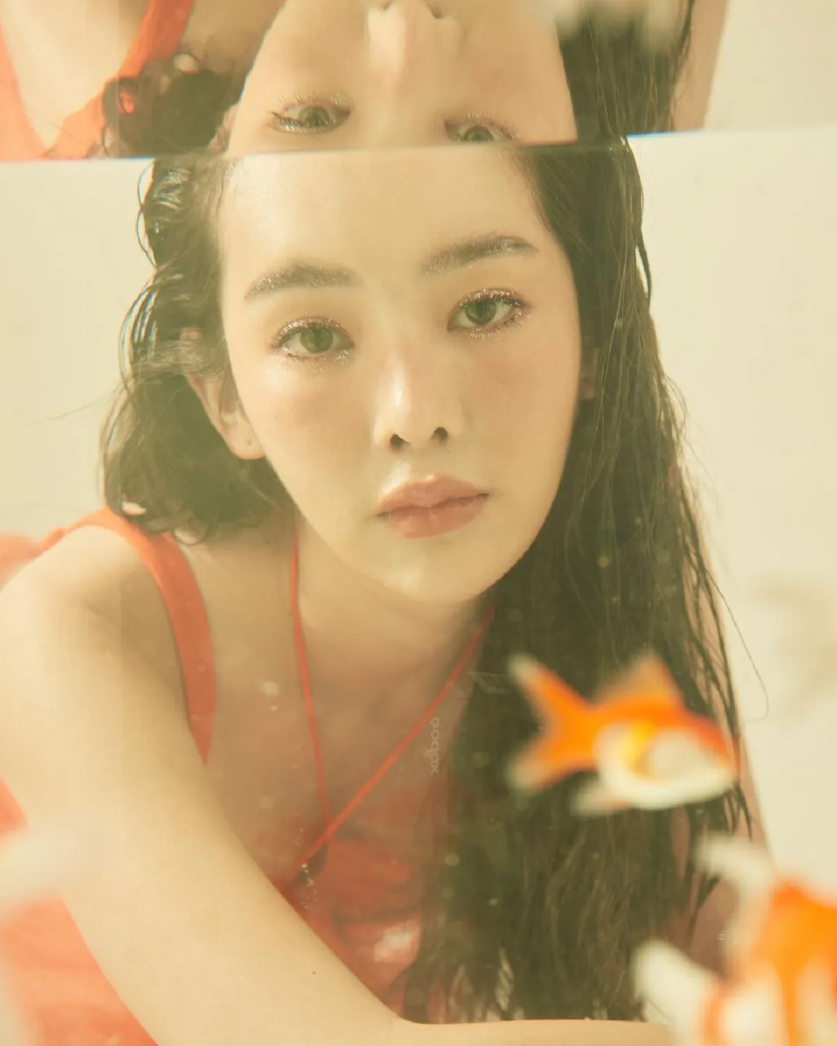 ปลาทองหนีไป!! “ปุ้มปุ้ย พรรณทิพา” กับภาพถ่ายสุดแซ่บนอนแช่น้ำในตู้ปลา